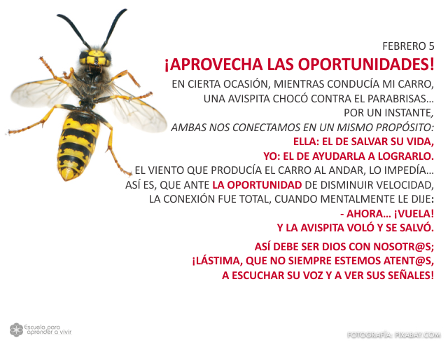 ¡Aprovecha las oportunidades!